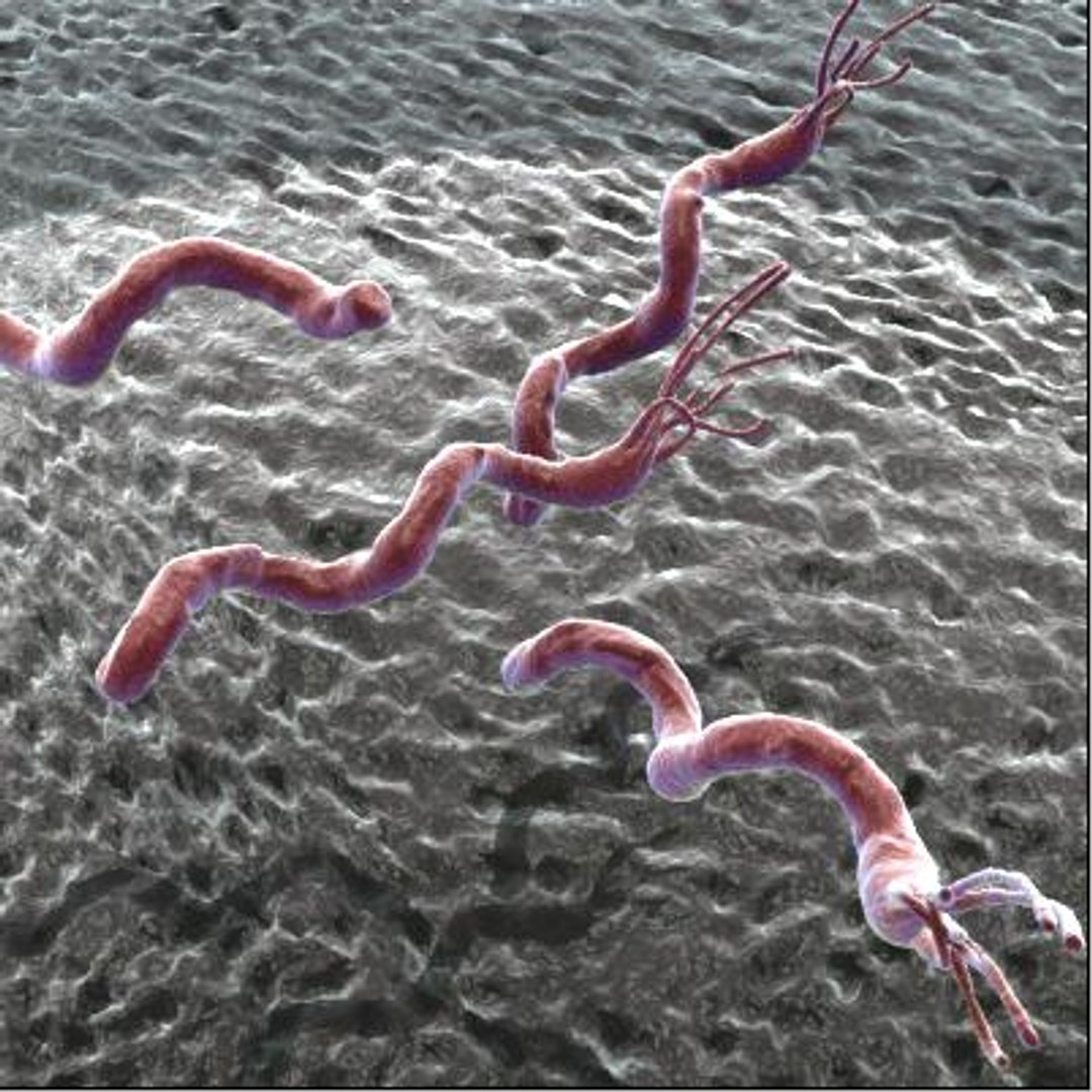 150 objects virus 3d model https://p.turbosquid.com/ts-thumb/jd/y2otO3/u1TS6Gvv/spirallium/jpg/1212072323/1920x1080/fit_q87/f38773a7fcbbfa06b886f0dd9bf5cbd69963ed33/spirallium.jpg