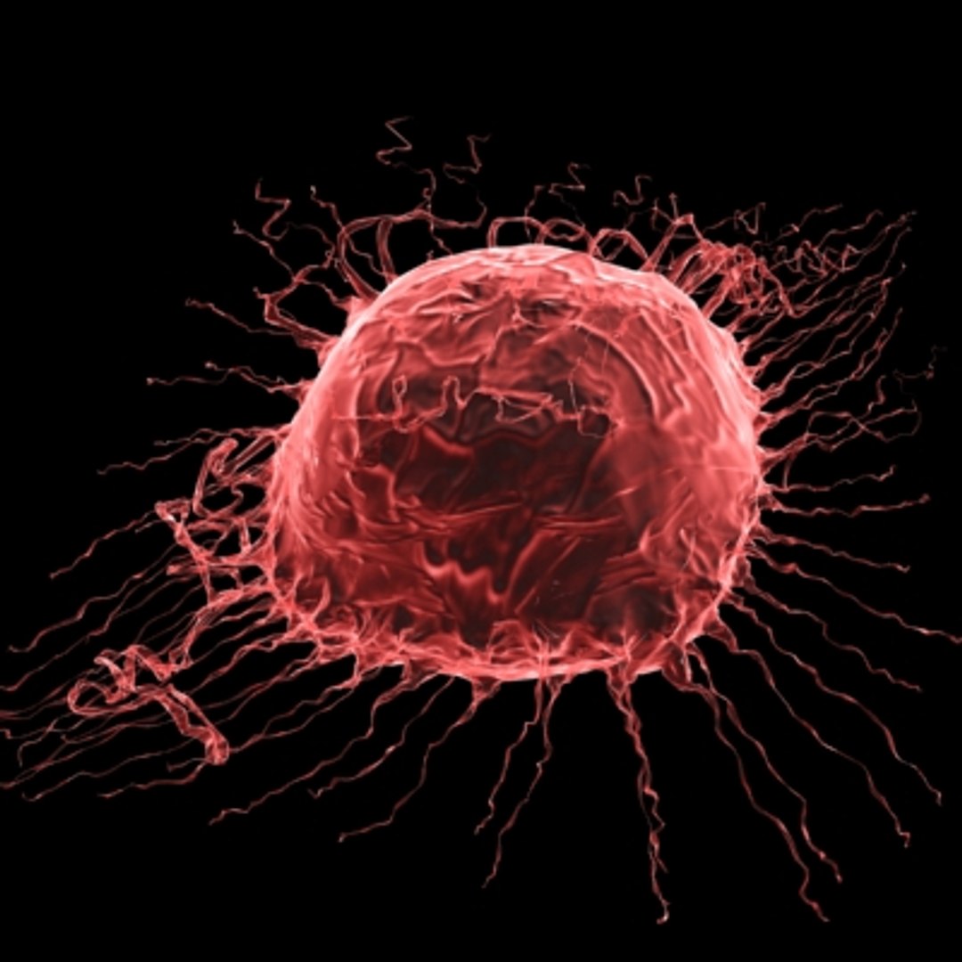 150 objects virus 3d model https://p.turbosquid.com/ts-thumb/jd/y2otO3/vbifO9dR/16/jpg/1212071345/1920x1080/fit_q87/ba4421c61cb3a32a5f2d5fb345cc115a5548969e/16.jpg