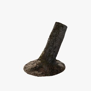 Anydrafts Abies fabri Trunk 11 3D model