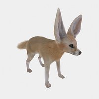 Fennec Fox Realism Low-poly 3D model