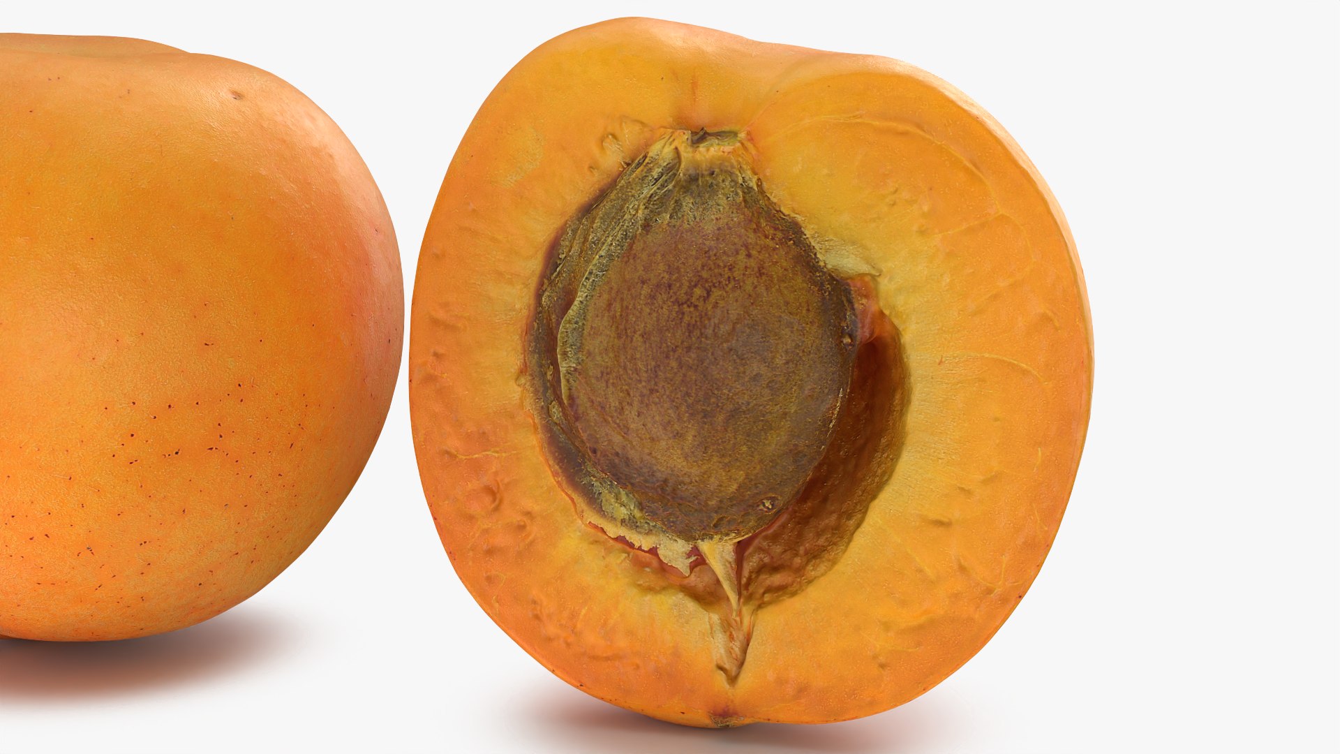 Fresh Apricot Whole and Cut Half 3D model https://p.turbosquid.com/ts-thumb/je/6KDQGR/8T/apricot02_0008/png/1783960697/1920x1080/fit_q87/ee6fb704ba4d92085b3ea2aed5b199caf9776b7f/apricot02_0008.jpg