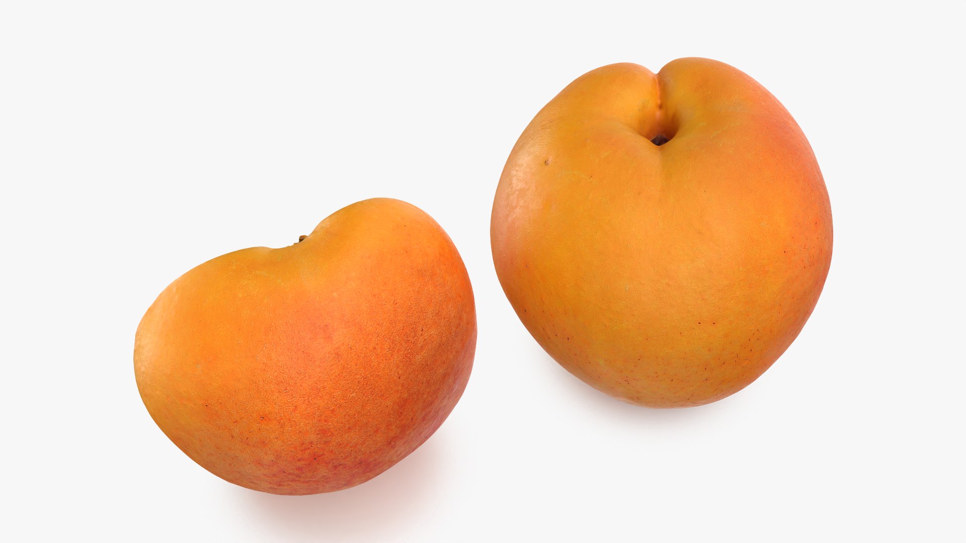 Fresh Apricot Whole and Cut Half 3D model https://p.turbosquid.com/ts-thumb/je/6KDQGR/Kn/apricot02_0003/png/1783960676/1920x1080/fit_q87/d174ea382150af2b7afdda47dc87a71b32af8611/apricot02_0003.jpg