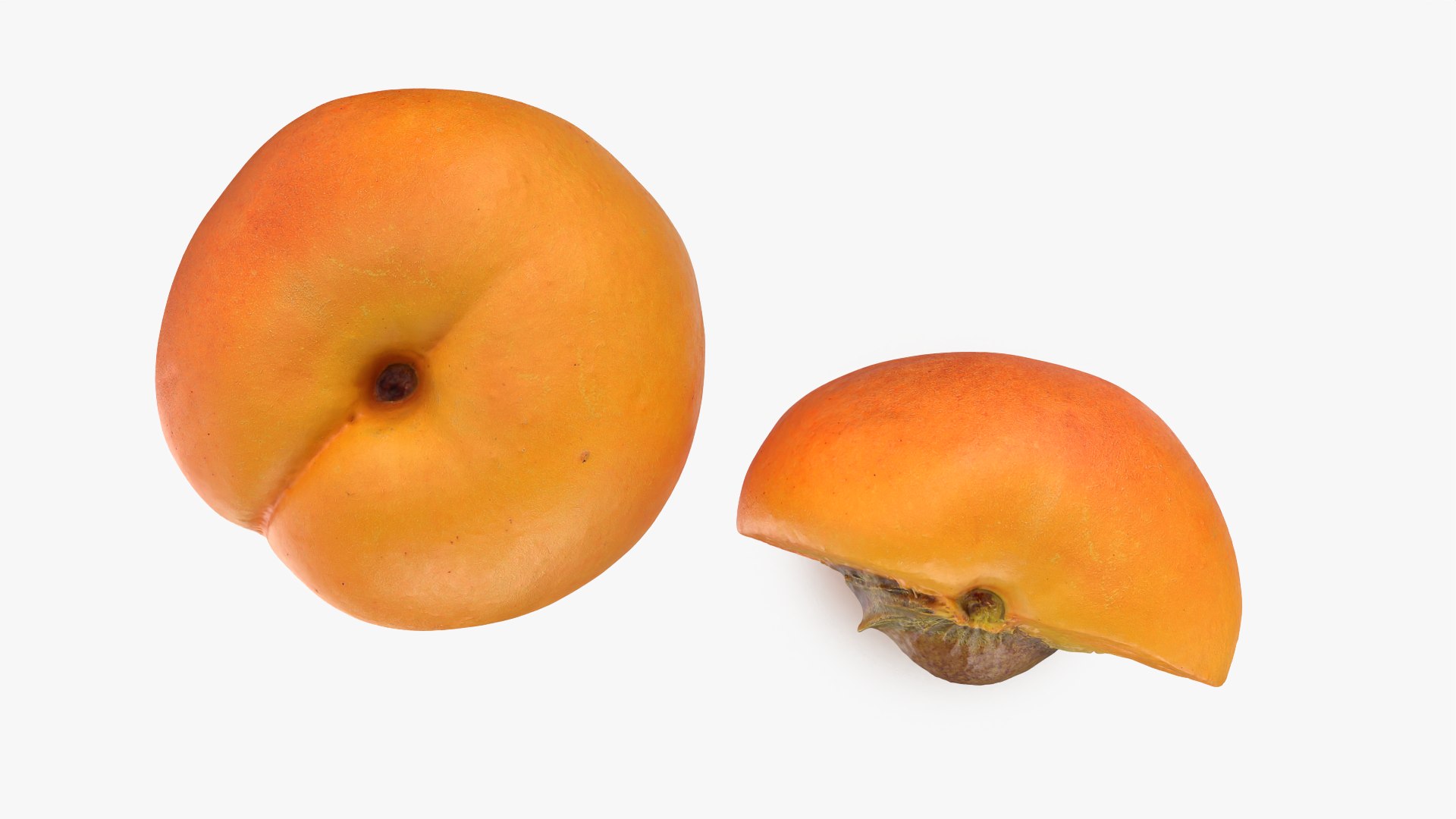Fresh Apricot Whole and Cut Half 3D model https://p.turbosquid.com/ts-thumb/je/6KDQGR/P7/apricot02_0005/png/1783960682/1920x1080/fit_q87/3bc36204d7ede9f83fbf405c647fed7198d88f33/apricot02_0005.jpg