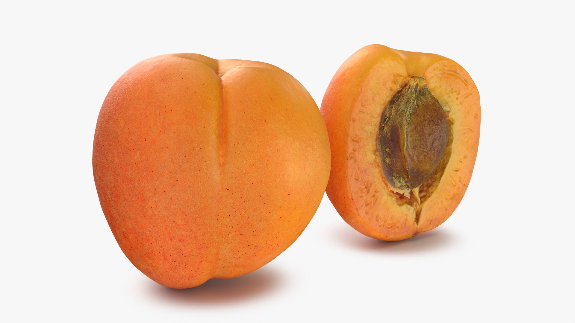 Fresh Apricot Whole and Cut Half 3D model https://p.turbosquid.com/ts-thumb/je/6KDQGR/RO/apricot02_0007/png/1783960691/1920x1080/fit_q87/afa73fae35da637c0ad385fbb70d8db9a1782979/apricot02_0007.jpg