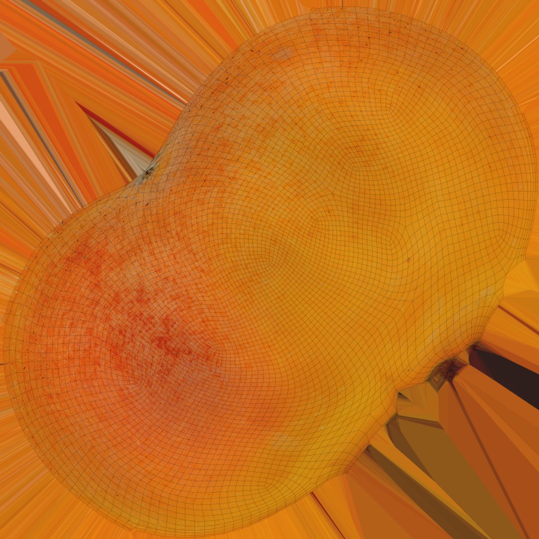 Fresh Apricot Whole and Cut Half 3D model https://p.turbosquid.com/ts-thumb/je/6KDQGR/WV/apricot02_e0004/png/1783960705/1920x1080/fit_q87/6d94fd77e2df58eca931528b65b25b3a46c4a6d2/apricot02_e0004.jpg