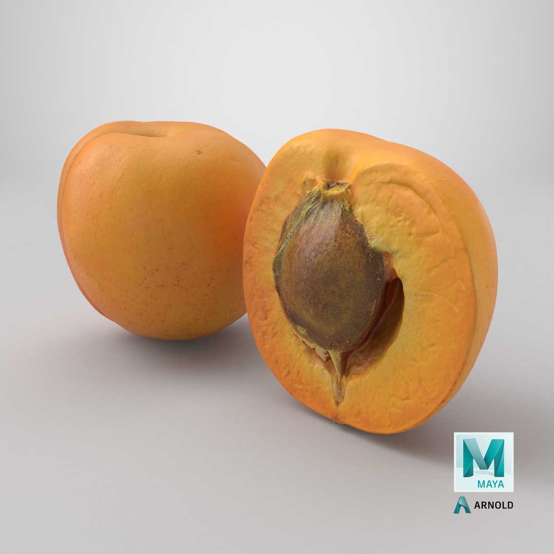 Fresh Apricot Whole and Cut Half 3D model https://p.turbosquid.com/ts-thumb/je/6KDQGR/aO/stemcell_maya_arnold_render/png/1784734114/1920x1080/fit_q87/3cb4d44633909da8a388a4f48ca7922d8d05f230/stemcell_maya_arnold_render.jpg