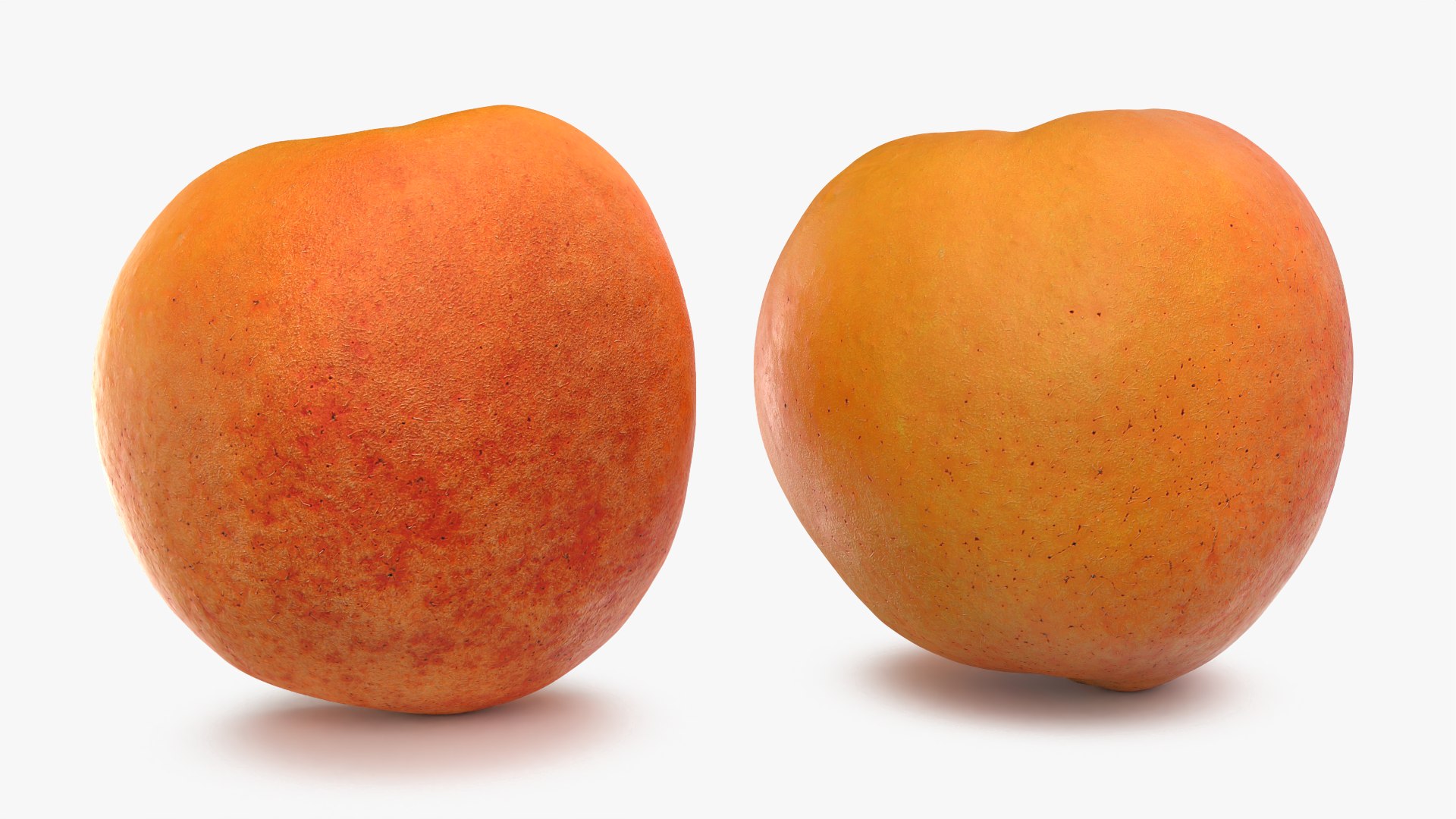 Fresh Apricot Whole and Cut Half 3D model https://p.turbosquid.com/ts-thumb/je/6KDQGR/iw/apricot02_0006/png/1783960691/1920x1080/fit_q87/b11c71230b2ce7d872ddc17432715845f75209fb/apricot02_0006.jpg