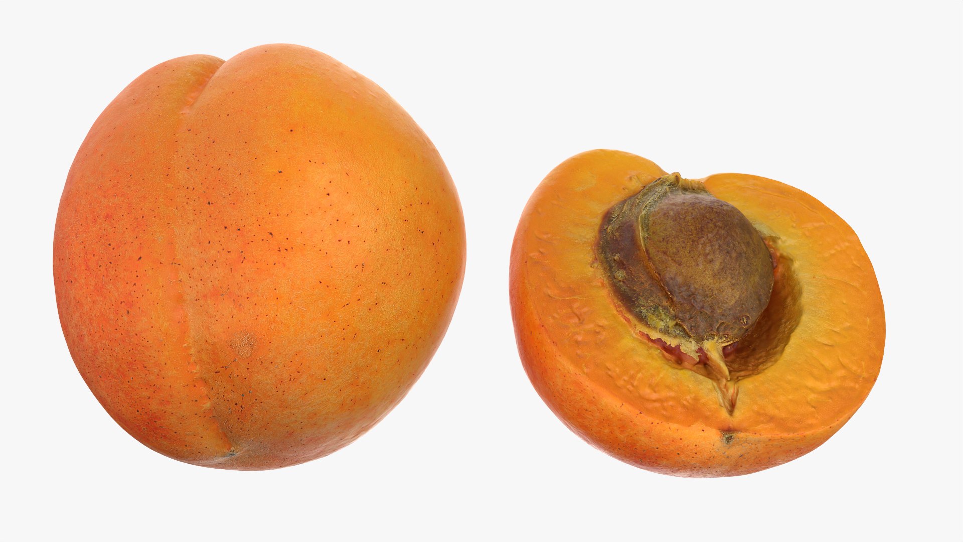 Fresh Apricot Whole and Cut Half 3D model https://p.turbosquid.com/ts-thumb/je/6KDQGR/kn/apricot02_0009/png/1783960706/1920x1080/fit_q87/516c1e15af7957ac4e439c6100145ca3710d4adb/apricot02_0009.jpg
