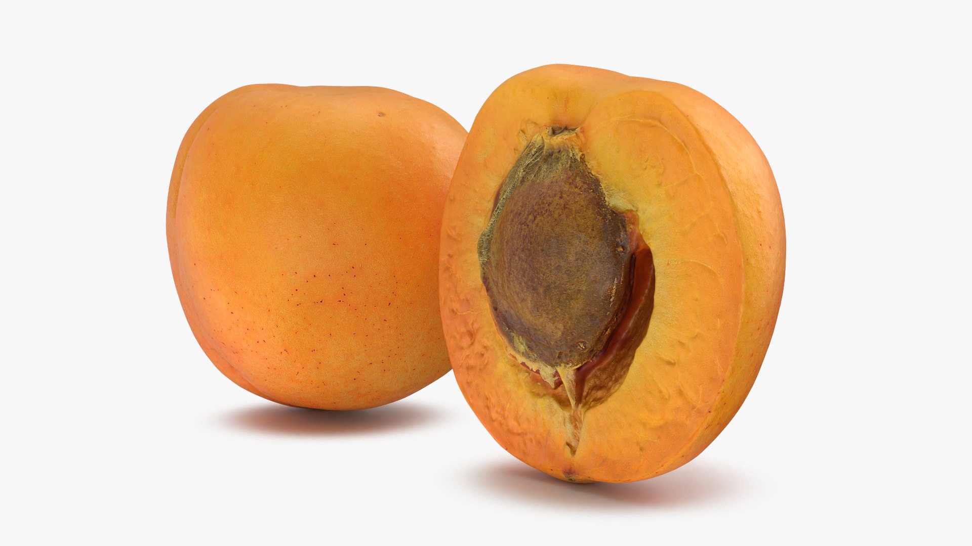 Fresh Apricot Whole and Cut Half 3D model https://p.turbosquid.com/ts-thumb/je/6KDQGR/vr/apricot02_0004/png/1783960690/1920x1080/fit_q87/f71f41bc319b96040220672c02b17972821f0646/apricot02_0004.jpg