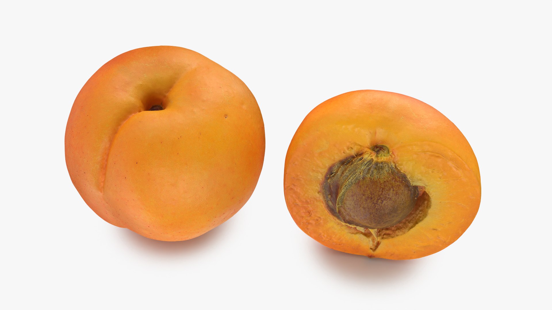 Fresh Apricot Whole and Cut Half 3D model https://p.turbosquid.com/ts-thumb/je/6KDQGR/wF/apricot02_0002/png/1783960652/1920x1080/fit_q87/d0abc37199eb491bc6204aca852570120d1c518b/apricot02_0002.jpg