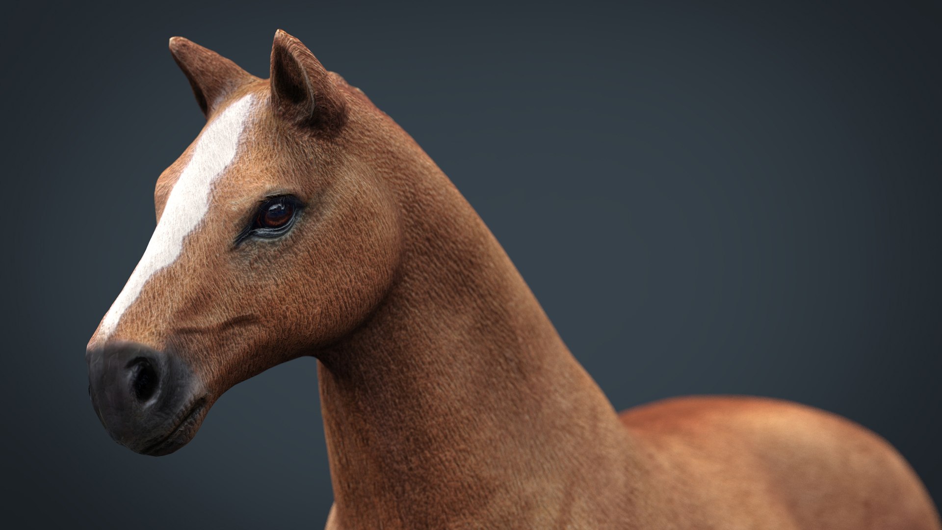 Horse 3D Model | 1148656 | TurboSquid