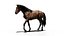 3D Horse Game-ready model