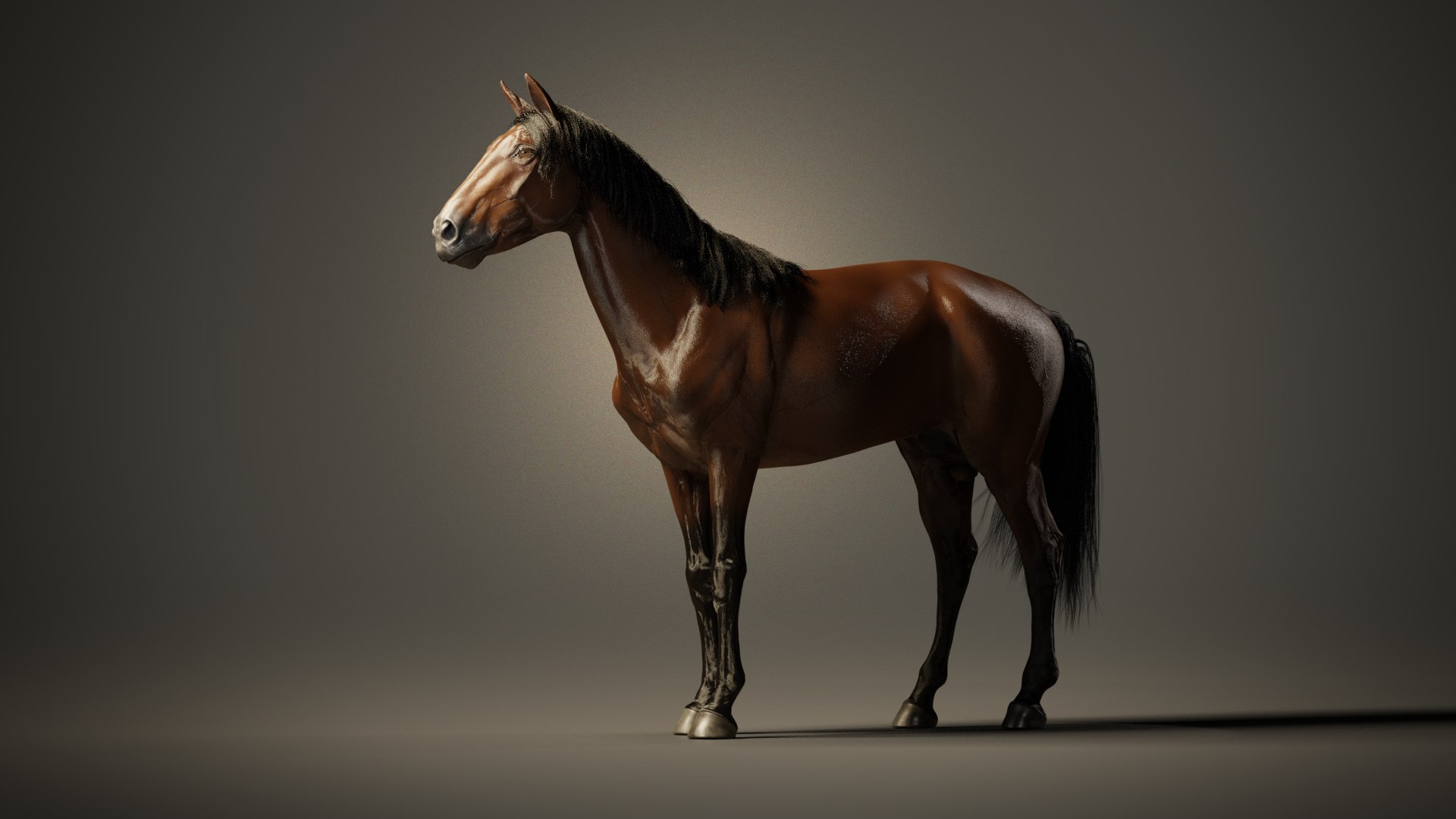 Equine pack 3D model https://p.turbosquid.com/ts-thumb/je/Km1QTC/Vf/09_compositing/png/1787399197/1920x1080/fit_q87/1aab669b7f2ba8ec4d96aa07368410786d21c49c/09_compositing.jpg