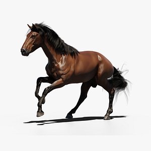 3D Horse Game-ready model