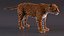 Jaguar Fur Rigged