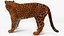 Jaguar Fur Rigged