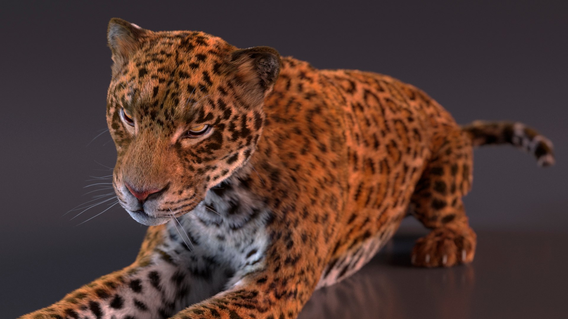 3D model Jaguar Fur Rigged https://p.turbosquid.com/ts-thumb/je/NIstrq/6I/jaguarfurrigged3dmodel018/jpg/1712000969/1920x1080/fit_q87/bce9866f8bba97607cad8a5cdcd1260242ea8b1c/jaguarfurrigged3dmodel018.jpg