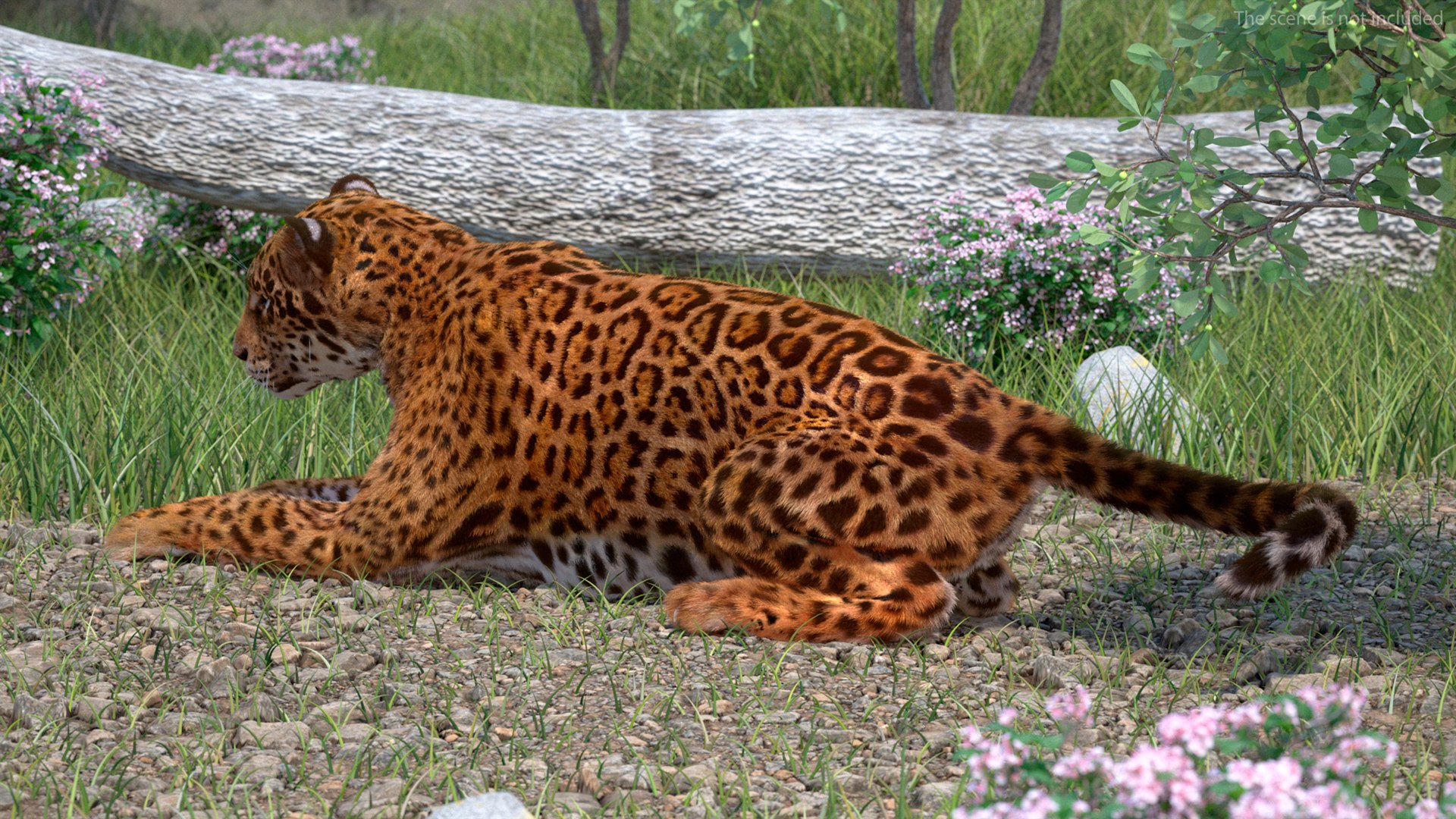 3D model Jaguar Fur Rigged https://p.turbosquid.com/ts-thumb/je/NIstrq/AY/jaguarfurrigged3dmodel007/jpg/1712000926/1920x1080/fit_q87/acd3a067985ed4a94f5cb1be64f80105dd113b40/jaguarfurrigged3dmodel007.jpg