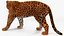 Jaguar Fur Rigged