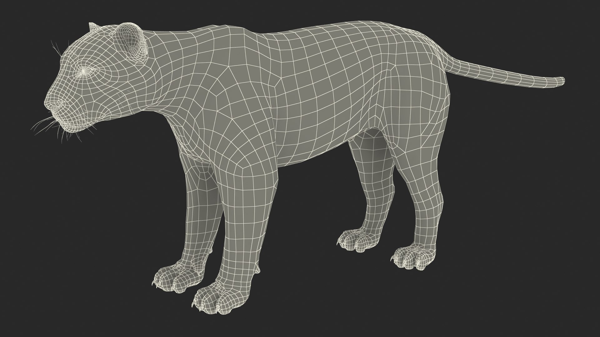 3D model Jaguar Fur Rigged https://p.turbosquid.com/ts-thumb/je/NIstrq/J3/jaguarfurrigged3dmodel049/jpg/1712001062/1920x1080/fit_q87/922ceaa37acbd7efd0f4e1617d944169dcbe57b7/jaguarfurrigged3dmodel049.jpg