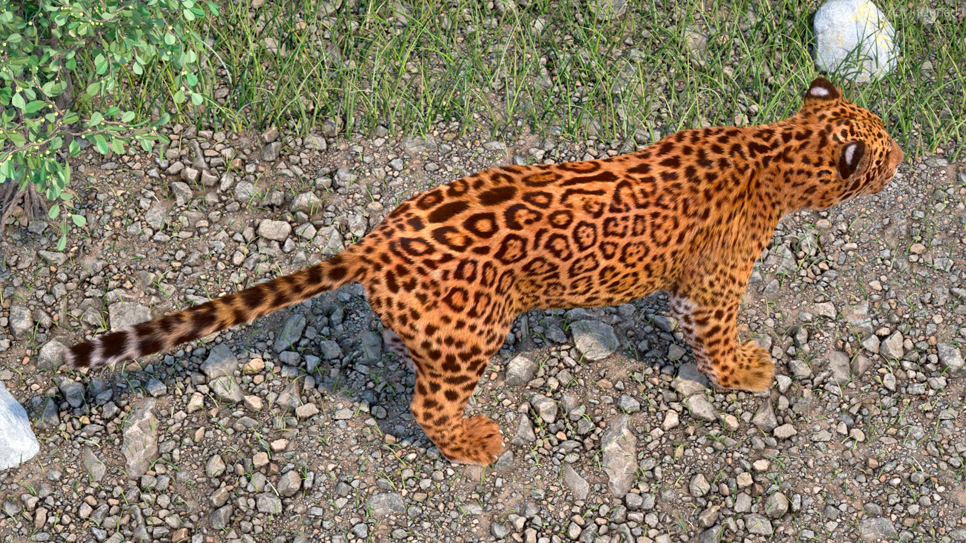 3D model Jaguar Fur Rigged https://p.turbosquid.com/ts-thumb/je/NIstrq/Jt/jaguarfurrigged3dmodel008/jpg/1712000931/1920x1080/fit_q87/6d83ef46ec2300757ca2cccf22500eda377a31db/jaguarfurrigged3dmodel008.jpg