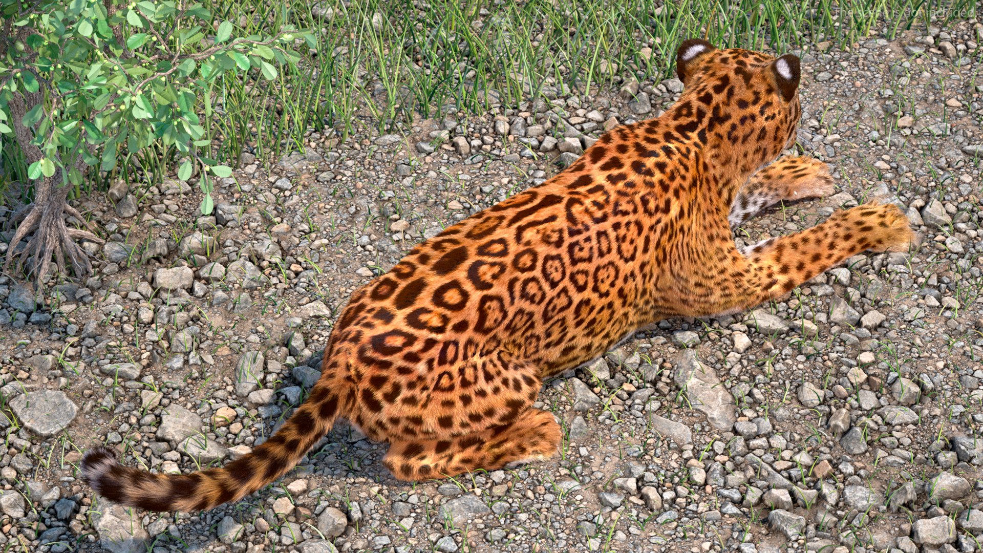 3D model Jaguar Fur Rigged https://p.turbosquid.com/ts-thumb/je/NIstrq/NJ/jaguarfurrigged3dmodel010/jpg/1712000941/1920x1080/fit_q87/1d6e8f8eb011a602037db1e78d4bda9e8191991c/jaguarfurrigged3dmodel010.jpg