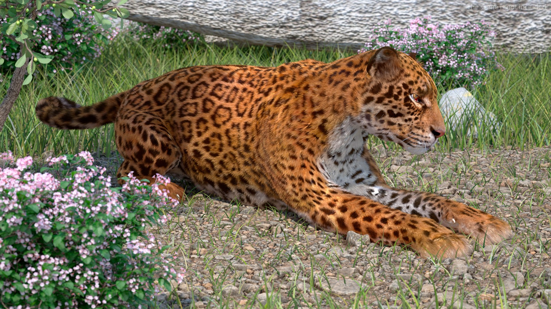 3D model Jaguar Fur Rigged https://p.turbosquid.com/ts-thumb/je/NIstrq/Rt/jaguarfurrigged3dmodel005/jpg/1712000916/1920x1080/fit_q87/7942ae8bff1418675c6135f50d4467923b6cee6f/jaguarfurrigged3dmodel005.jpg