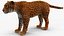Jaguar Fur Rigged