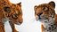 Jaguar Fur Rigged