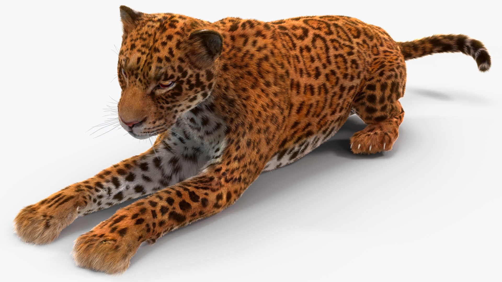3D model Jaguar Fur Rigged https://p.turbosquid.com/ts-thumb/je/NIstrq/do/jaguarfurrigged3dmodel022/jpg/1712000981/1920x1080/fit_q87/126c710fd38f9ae77a6b619f2934cec0eeb3f48a/jaguarfurrigged3dmodel022.jpg