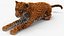Jaguar Fur Rigged
