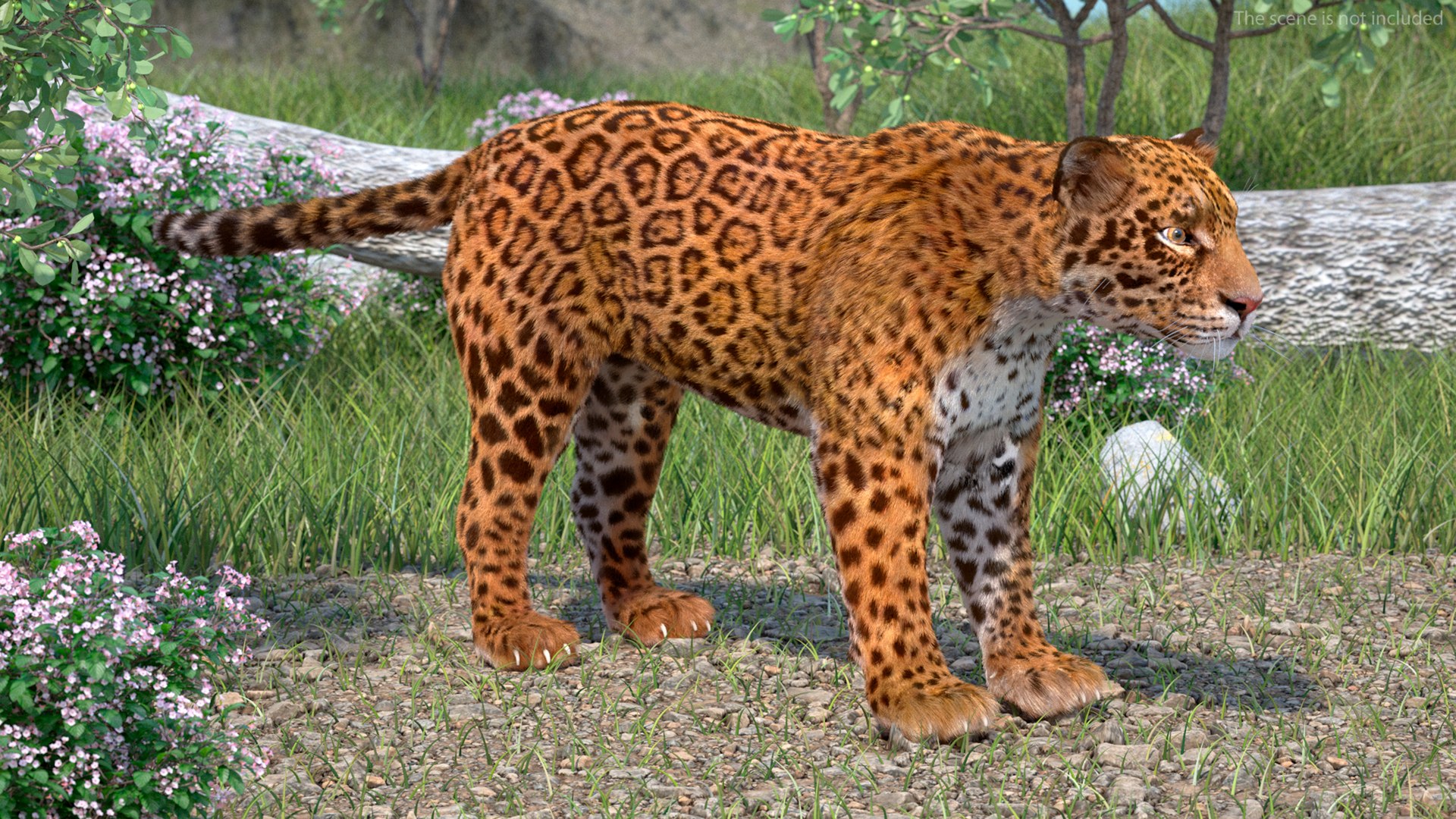 3D model Jaguar Fur Rigged https://p.turbosquid.com/ts-thumb/je/NIstrq/g0/jaguarfurrigged3dmodel003/jpg/1712000906/1920x1080/fit_q87/8d25aa586618e290a2f6e1e146aa5910ff690e89/jaguarfurrigged3dmodel003.jpg