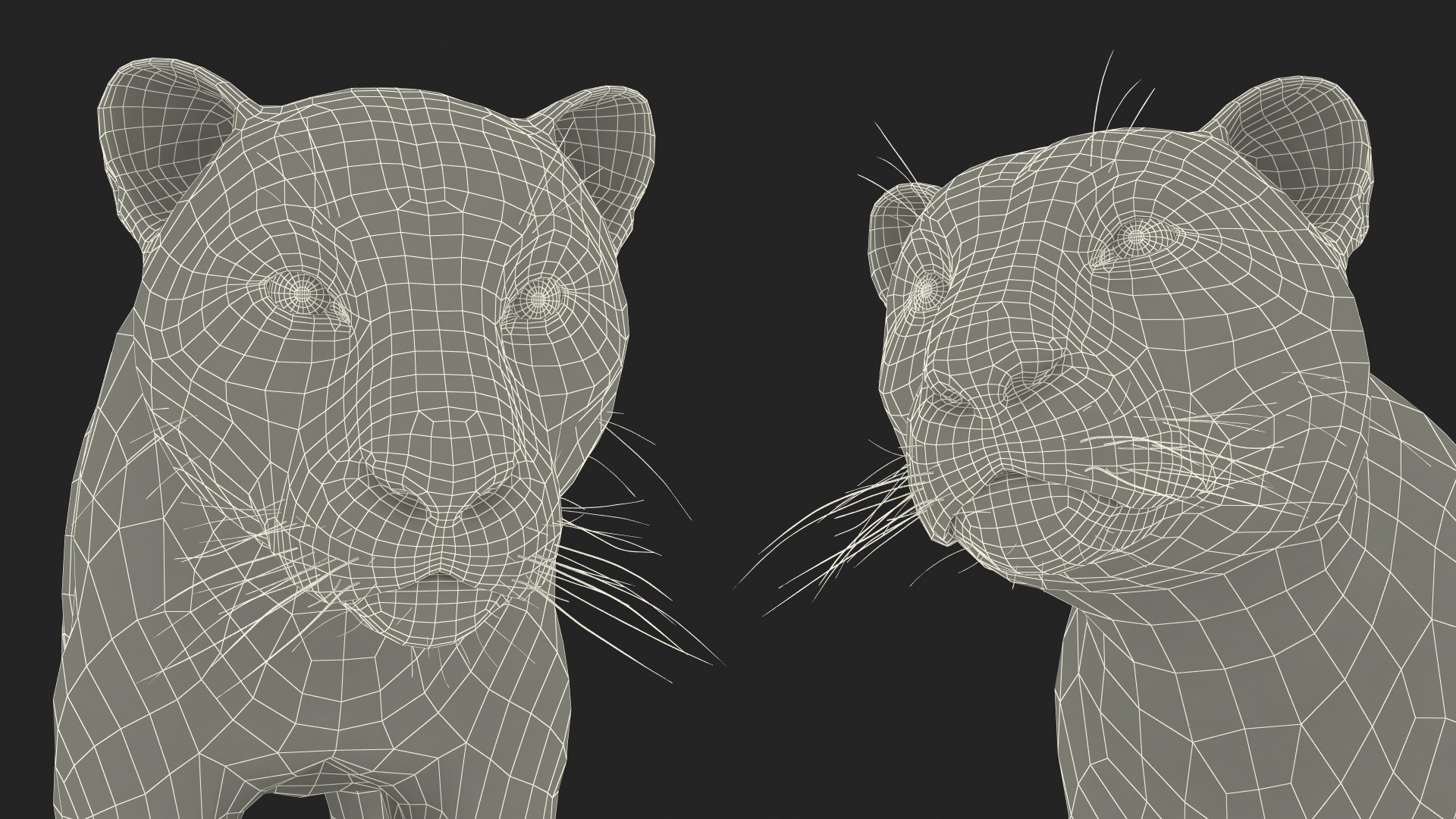 3D model Jaguar Fur Rigged https://p.turbosquid.com/ts-thumb/je/NIstrq/jQ/jaguarfurrigged3dmodel055/jpg/1712001080/1920x1080/fit_q87/e26c35552ddb9946fc87b819edfe4471ab8a9889/jaguarfurrigged3dmodel055.jpg