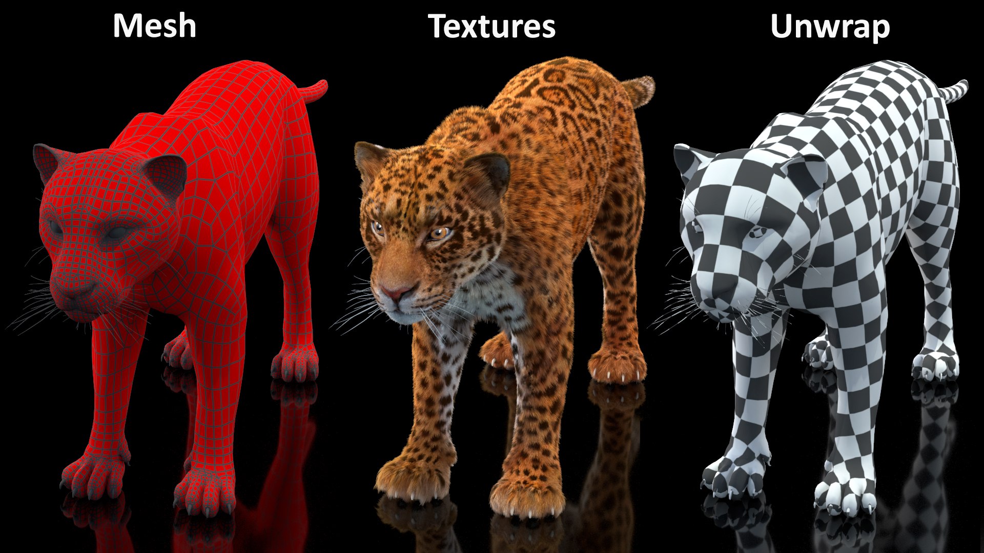 3D model Jaguar Fur Rigged https://p.turbosquid.com/ts-thumb/je/NIstrq/kE/jaguarfurrigged3dmodel043/jpg/1712001044/1920x1080/fit_q87/187bead5398daff3bce5e75049b0d291e2b0801e/jaguarfurrigged3dmodel043.jpg