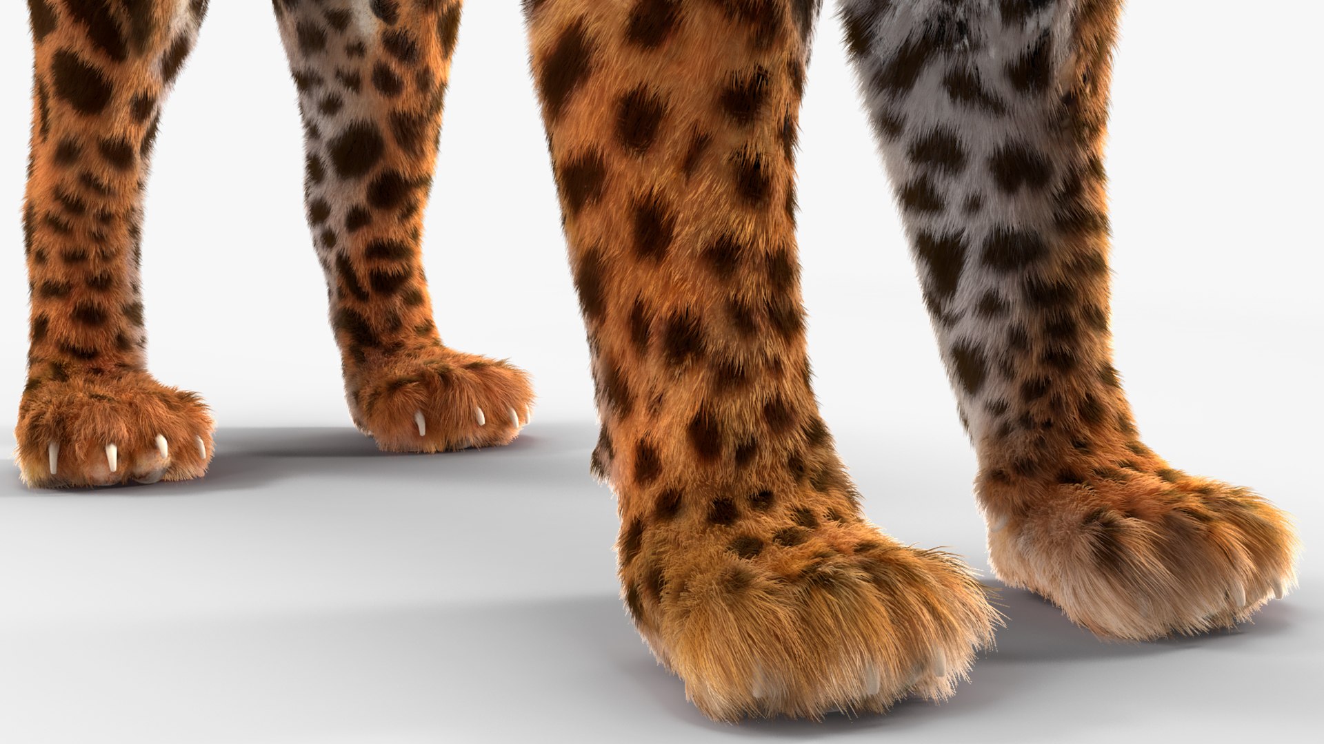3D model Jaguar Fur Rigged https://p.turbosquid.com/ts-thumb/je/NIstrq/lv/jaguarfurrigged3dmodel037/jpg/1712001026/1920x1080/fit_q87/47196de0816859f460b13f570a9e43d1694a5d8d/jaguarfurrigged3dmodel037.jpg