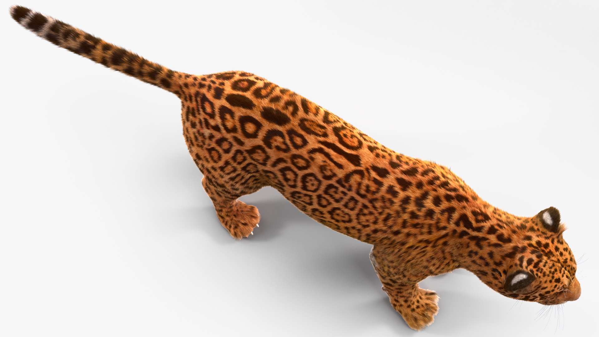 3D model Jaguar Fur Rigged https://p.turbosquid.com/ts-thumb/je/NIstrq/sS/jaguarfurrigged3dmodel027/jpg/1712000996/1920x1080/fit_q87/538f0af557a69df54ba41da40cc054457a4a4f75/jaguarfurrigged3dmodel027.jpg