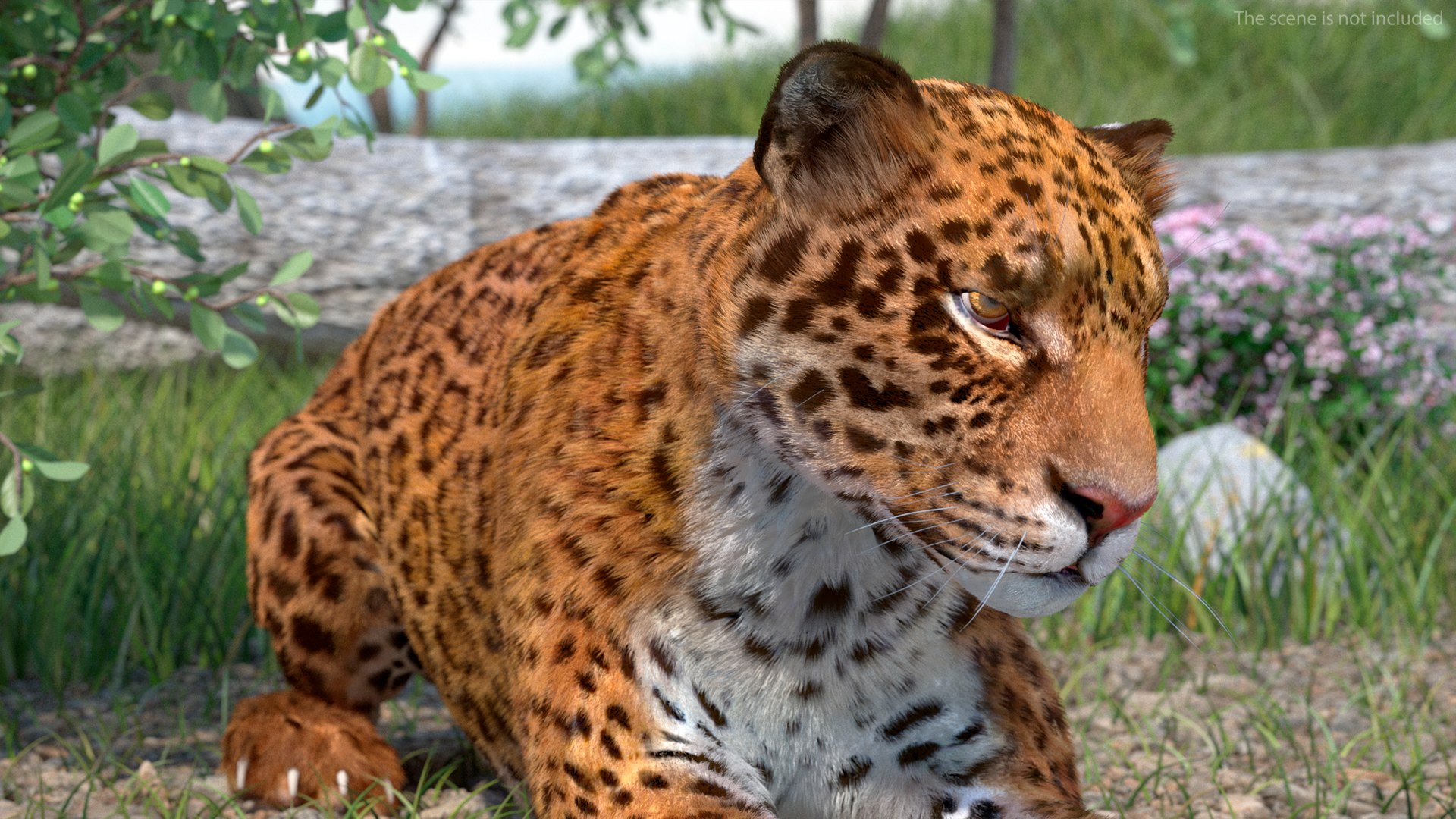 3D model Jaguar Fur Rigged https://p.turbosquid.com/ts-thumb/je/NIstrq/tb/jaguarfurrigged3dmodel013/jpg/1712000954/1920x1080/fit_q87/3a9d57783ac07a5647ed0464dcd8d58916e232b4/jaguarfurrigged3dmodel013.jpg