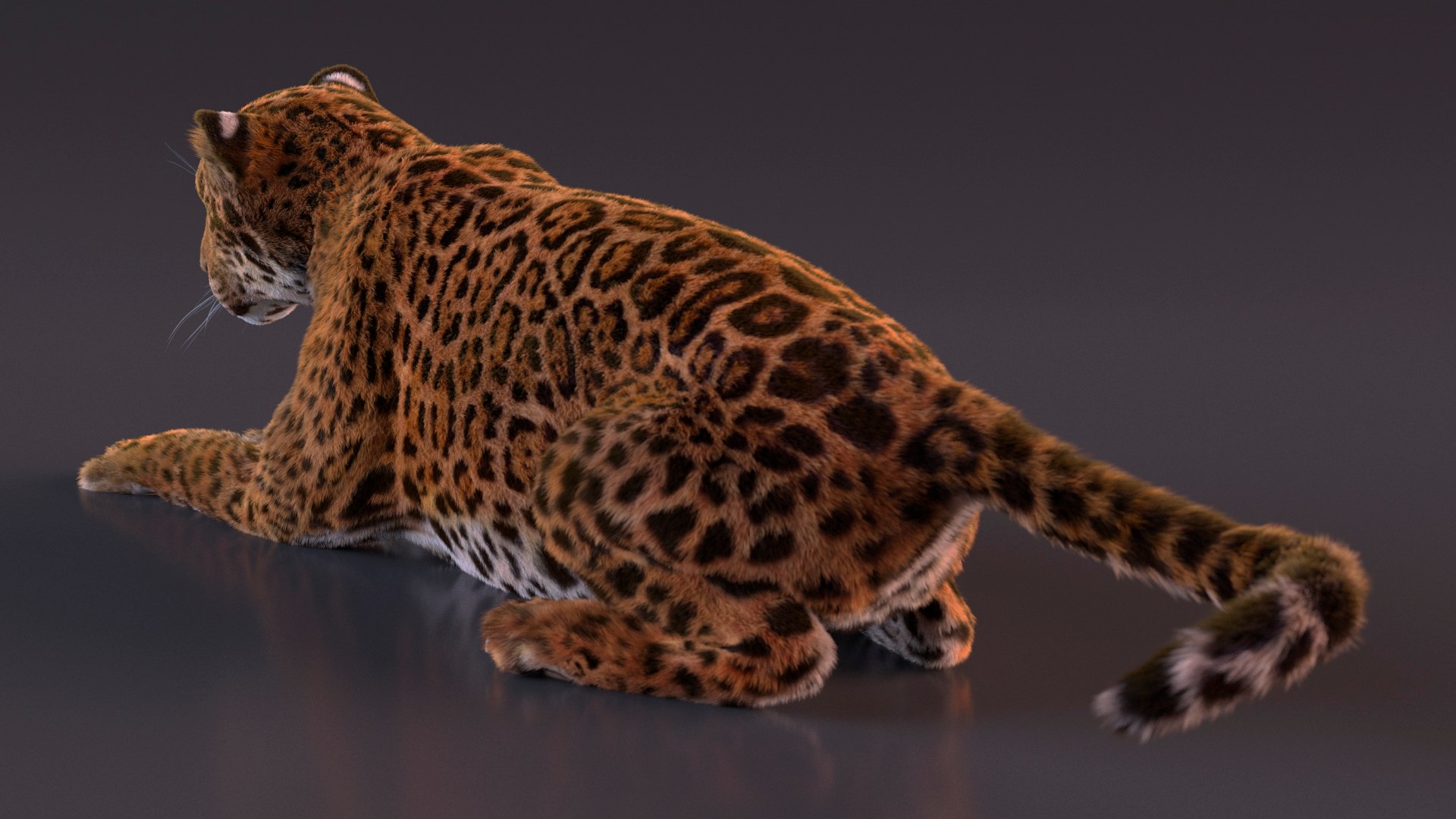 3D model Jaguar Fur Rigged https://p.turbosquid.com/ts-thumb/je/NIstrq/u1/jaguarfurrigged3dmodel016/jpg/1712000963/1920x1080/fit_q87/8d9780c478597d0ec9166617a1440628c2f4005b/jaguarfurrigged3dmodel016.jpg