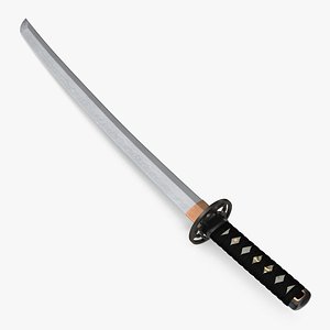 Japanese Short Sword Wakizashi