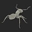 Red Ant Rigged for Cinema 4D
