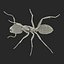 Red Ant Rigged for Cinema 4D