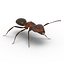 Red Ant Rigged for Cinema 4D