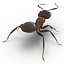 Red Ant Rigged for Cinema 4D