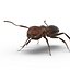 Red Ant Rigged for Cinema 4D