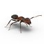 Red Ant Rigged for Cinema 4D