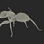 Red Ant Rigged for Cinema 4D