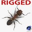 Red Ant Rigged for Cinema 4D