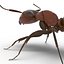 Red Ant Rigged for Cinema 4D