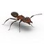 Red Ant Rigged for Cinema 4D