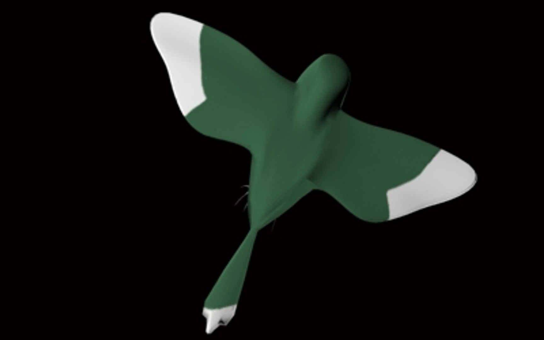parakeet 3d model https://p.turbosquid.com/ts-thumb/je/nPWXOr/MSuqI3p7/para_02/jpg/1101360869/1920x1080/fit_q87/50476c947106e0b971be29be4b56cf4110714375/para_02.jpg